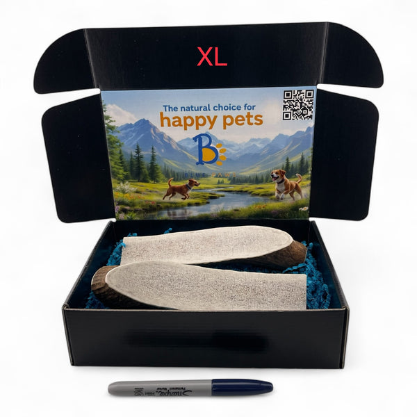 Elk Antler Dog Chew Split Box