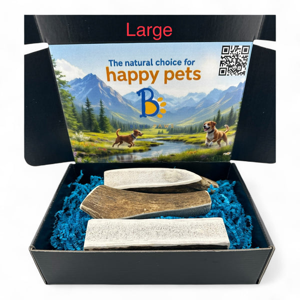 Elk Antler Dog Chew Split Box