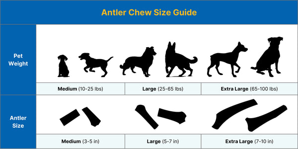 Elk Antler Dog Chew Split Box
