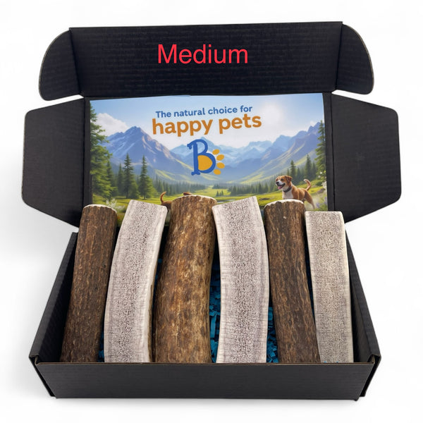 Elk Antler Dog Chew Split Box