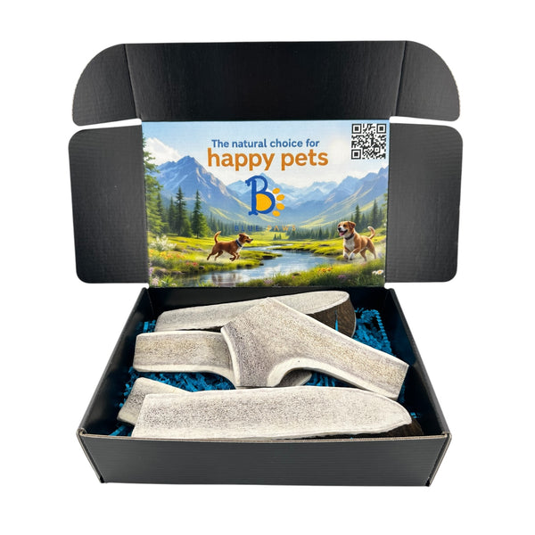 Elk Antler Dog Chew Split Box
