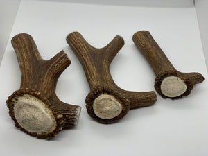 Full Elk Antler Dog Chew - Blue Paws Products Store
