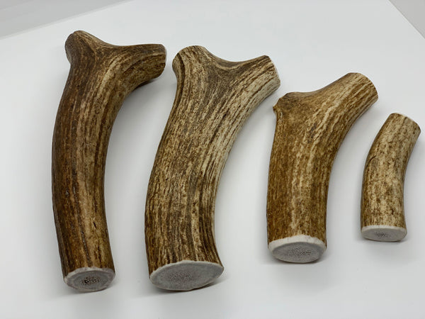 Whole Elk Antler Dog Chew - Blue Paws Products Store