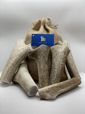 Elk Antler Dog Chew Pack - Blue Paws Products Store